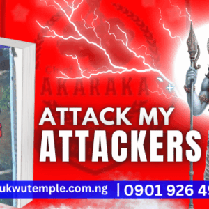Attack My Attackers