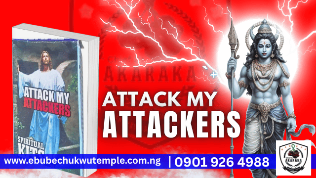 Attack My Attackers